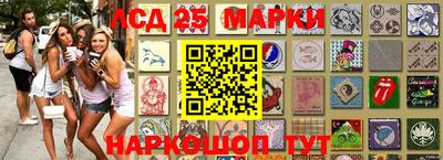 дживик Кандалакша