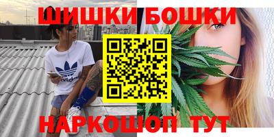 ешки Камышлов