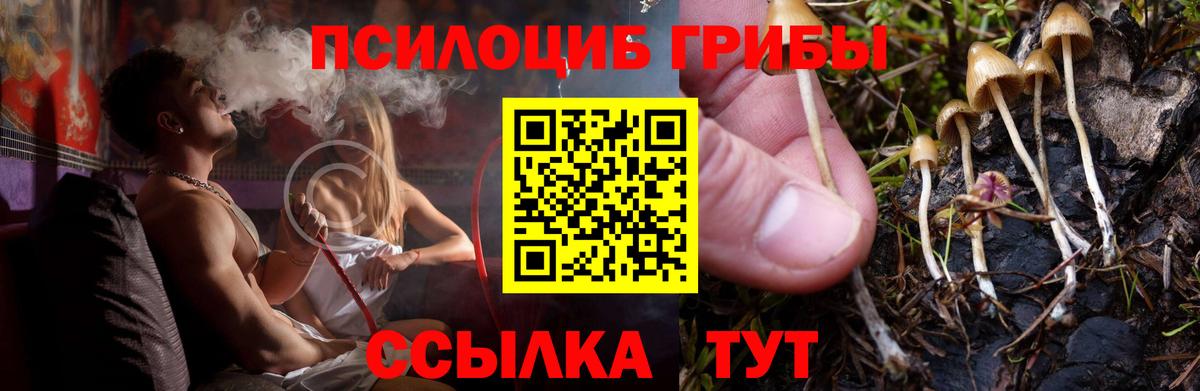 Псилоцибиновые грибы прущие грибы  Вход с VPN  Галлюциногенные грибы Psilocybine cubensis  Ленинск-Кузнецкий 